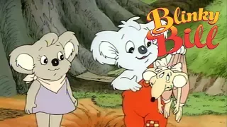 Blinky Bill - Episode 26 - Blinky Bill's Wedding Picnic