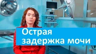 Острая задержка мочи у кота. Ветеринарная клиника Свой Доктор об острой задержке мочи у кота