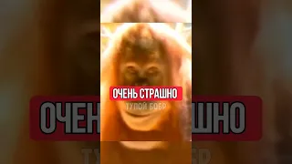 ЧТО НИТАК С ЭТОЙ ОБЕЗЬЯНОЙ?