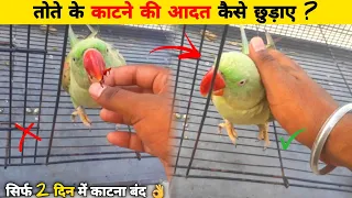 तोते का काटना कैसे छुड़ाए / Stop parrot biting habit / In Hindi !!