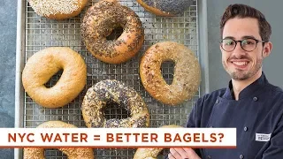 Is NYC Water Really the Secret to Better Bagels?
