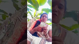 hijra funny video #hijrah #shorts #shortamv #trending #telugushorts #youtubeshorts #hijra