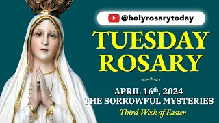 TUESDAY HOLY ROSARY 💙 APRIL 16, 2024 💙 SORROWFUL MYSTERIES OF THE ROSARY [VIRTUAL] #holyrosarytoday