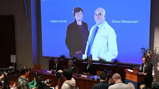 Nobel de Medicina 2023: Katalin Karikó y Drew Weissman, premiados por la vacunas de ARN mensajero
