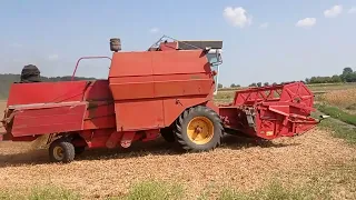 Жнива.Уборка сої.Комбайн Massey Ferguson 440.Мтз82.Рання соя.29.08.23