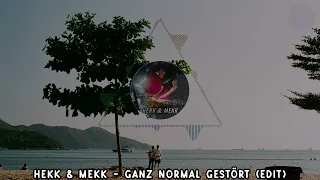 HEKK & MEKK - Ganz Normal Gestört (edit) | HARDTEKK | [HD]