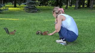 Какие же они классные- эти белки!!! 🐿️ Feeding squirrels in the park