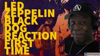 Black Dog - Led Zeppelin - (Live at Madison Square Garden 1973)  REACTION First Time Hearing
