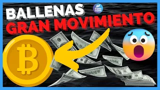 💥Prepárate💥 🔥Los grandes tenedores del mercado hacen esto ahora🔥