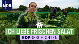 Starker Regen, leckerer Salat in Ochsenwerder | Die Nordreportage: Hofgeschichten (196) | NDR