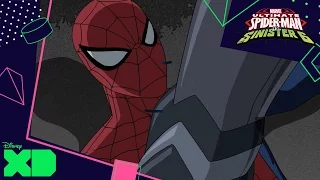 Ultimate Spider-Man Vs. The Sinister Six | Maximum Carnage | Official Disney XD UK