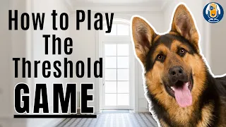 Threshold Game For Dogs: Step By Step Training Plan So You Become Your Dog's Center Of Attention