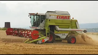 Claas Dominator 114 CS