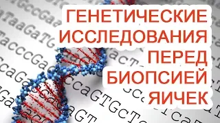 Генетические исследования перед биопсией яичек