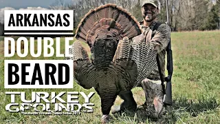 Spring Turkey Hunting - ARKANSAS DOUBLE BEARD - Turkey Grounds S9 #9