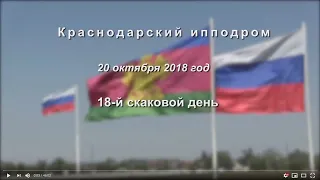 Видео 18 скаковой день - 20.10.2018г. Краснодарский ипподром
