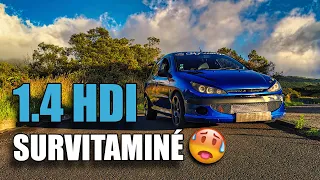 UNE 206 1.4HDI SURVITAMINÉ ! CA POUSSE!!🚗🤯