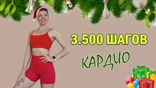 КАРДИО 30 МИН - Домашняя тренировка | Natinfitness