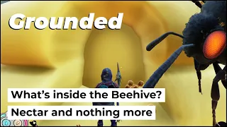 What’s inside the Beehive? Nectar and nothing more! | Grounded Guide