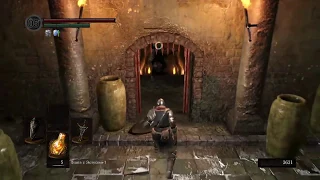 Dark Souls - Funeral Coffin Dance Meme