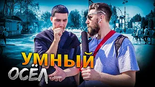 ОТВЕТЫ ПРОХОЖИХ НА ФИЛОСОФСКИЕ ВОПРОСЫ