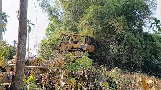 Caterpillar D6R XL Bulldozer Working on Plantation Clearing Residents Pushing Away Stacks of Bamboo