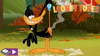Sir Littlechin et le Phoenix | Bugs et les Looney Tunes | Boomerang