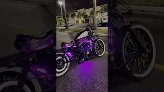 Beautifully custom Harley Davidson Sportster 48