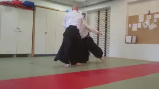 Jani aikido 10.6.2016