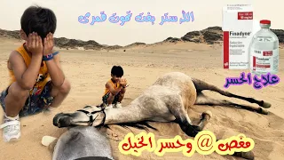 (حسر ومغص الخيل)رحنا نعالج قمرا تعبت فجئه💔🐎|سباق بين سعد وعمر👏🏻😍