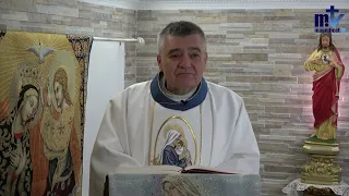 Homilía de hoy |  Santa María, Madre de la Iglesia | 20-05-2024 | Pbro. Santiago Martín, FM