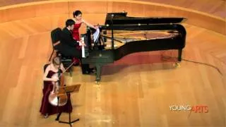 Saint-Saëns Cello Sonata in C minor, Op.32: 1. Allegro