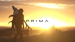 Prima Highlights