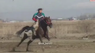 Манас🇰🇬 Ниязов🇰🇬 Шторм🐴