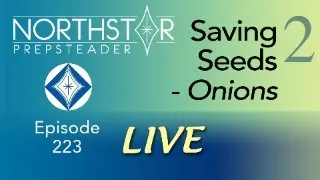 SAVING SEEDS Part 2: Onions • NORTHSTAR Live! Ep. 223