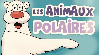 Les animauxpolaires -  Animaux sauvages pour bébé en français