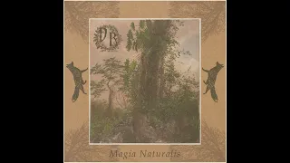 Desolazione Rurale - Magia Naturalis (Forest Synth/Dungeon Synth/Electronica) [Full Album]