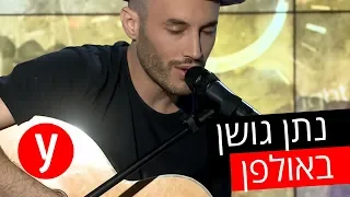 נתן גושן - לפני שהאהבה תיפול