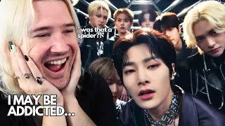 CANT GET ENOUGH! | REACTION | STRAY KIDS | 거미줄(VENOM)