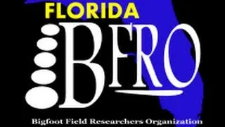 BFRO Report 42978 Hillsborough County, FL