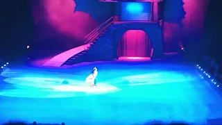 A Whole New World - Aladdin Disney On Ice en Puerto Rico 2022 #disneyonice #puertorico