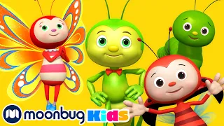 Bugs! Bugs! Bugs! Bugs! | LBB Songs | Learn with Little Baby Bum Nursery Rhymes - Moonbug Kids