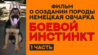 История создания породы Немецкая Овчарка. Фильм "Боевой Инстинкт". 1 часть. German Shepherd History.