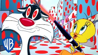 Looney Tunes po polsku 🇵🇱 | Wskaźnik laserowy Tweety’ego | WB Kids