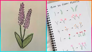 100 Ways of Drawing & Painting Flowers