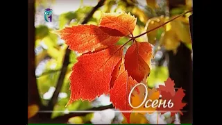 Последние минуты вещания телеканала "Первый образовательный" (01.10.2020)