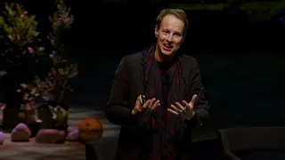 Daan Roosegaarde, Studio Roosegaarde  (Agder Energi-konferansen 2019)