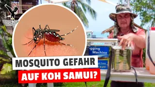 Mosquito Gefahr in Thailand?