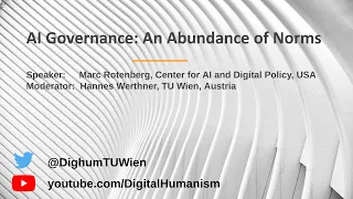“AI Governance: An Abundance of Norms”