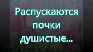 Распускаются почки душистые/// Назарук /// на Пасху